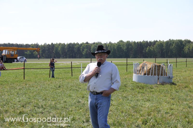 Wypas bydła - Zielone Agro Show 2011 Kąkolewo 