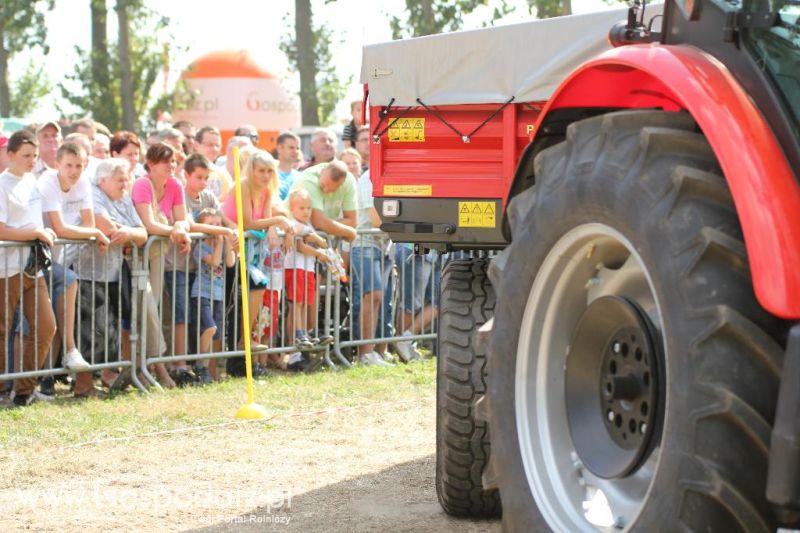 Precyzyjny Gospodarz w Wilkowicach 2013 - niedziela