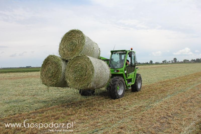 Pokazy polowe Romanów k/Krotoszyna