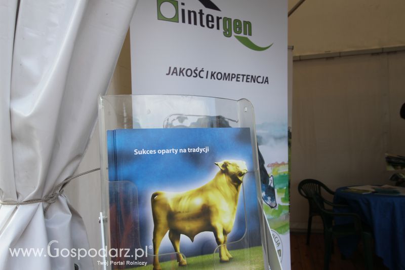 Intergen na KWZH 2015 w Poznaniu