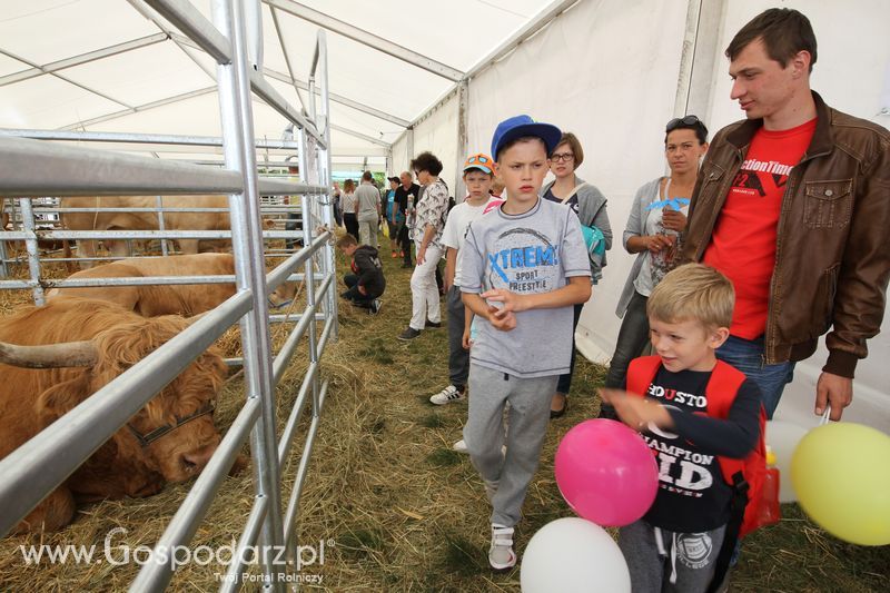 Sobota na Opolagrze 2016 razem z Gospodarz.pl