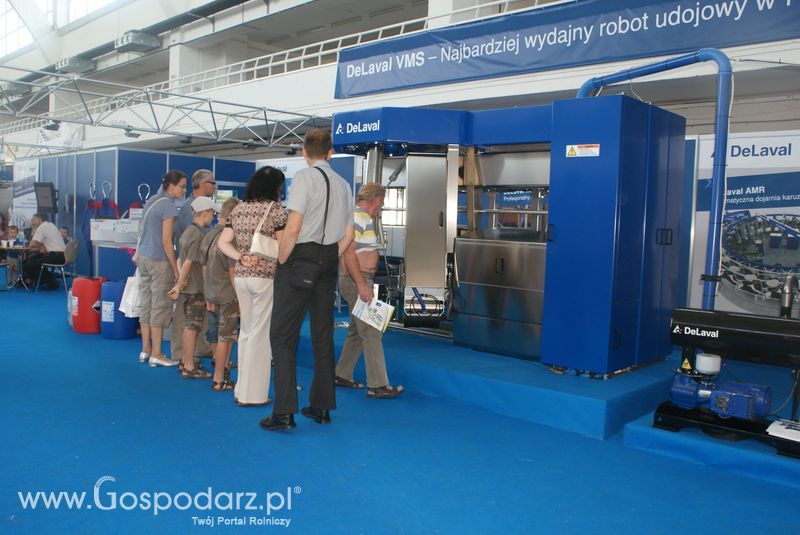 Bydło mleczne na XXV Krajowej Wystawie Zwierząt Hodowlanych