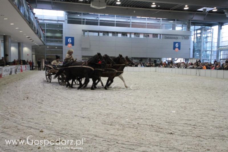 CAVALIADA 2013 w Poznaniu