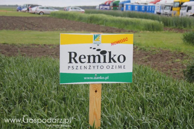 Polskie Zboża i Zielone Agro Show 2013