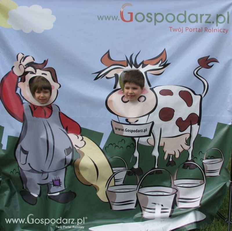 Wielkopolskie Targi Rolnicze „Sielinko 2011”  - Krówka Gospodarza