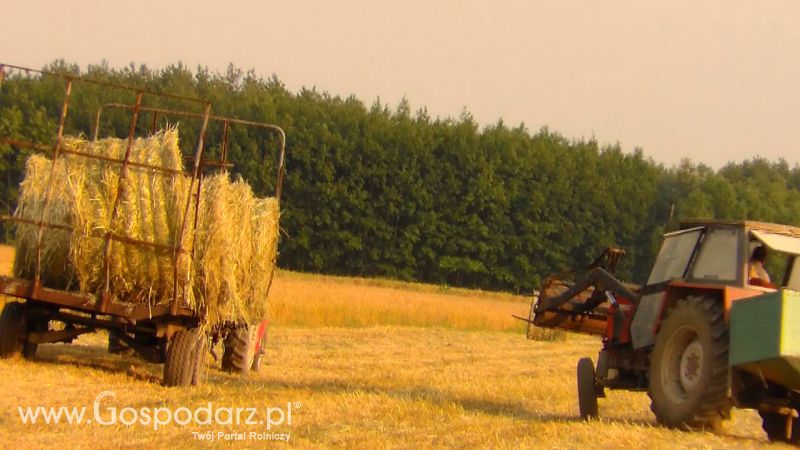 Zbiór Słomy 2013