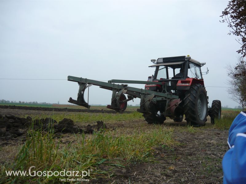 MrZgredy de luxa mają więc w polu sobie rade dają Orka Zimowa 2011