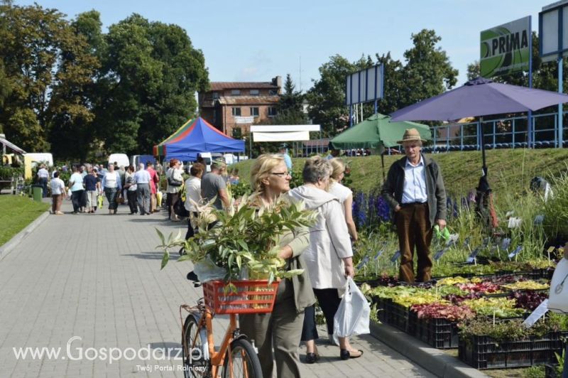  Targi ROLEXPO 2014