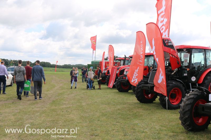 Zetor na AGRO-TECH Minikowo 2017