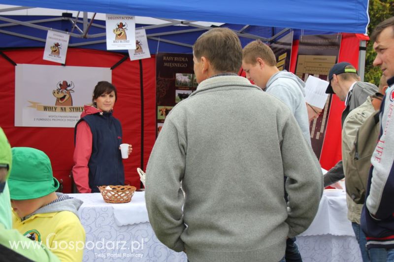 VII Ogólnopolska Wystawa Bydła Hodowlanego - Sielinko 2012
