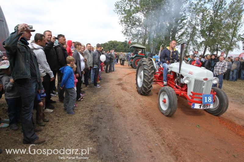 Roltechnika 2014 w Wilkowicach