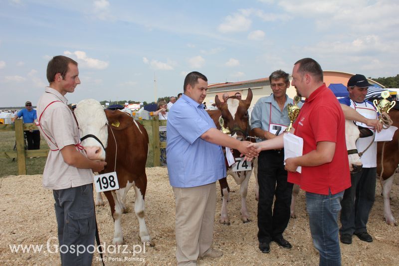 Superchampioni i championi Śląskiej Wystawy Bydła Mlecznego Opolagra 2011