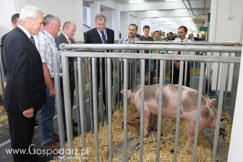 Spacer Ministra Sawickiego po terenie targów Polagra Food i KWZH