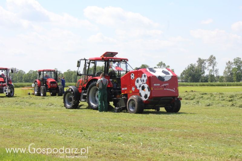 Szepietowo 2012 XIX Regionalna Wystawa Zwierząt Hodowlanych, I Ogólnopolska Wystawa Drobiu oraz Dni z Doradztwem Rolniczym