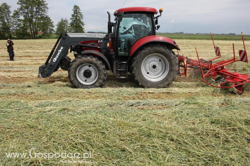 Pokazy polowe Romanów k/Krotoszyna