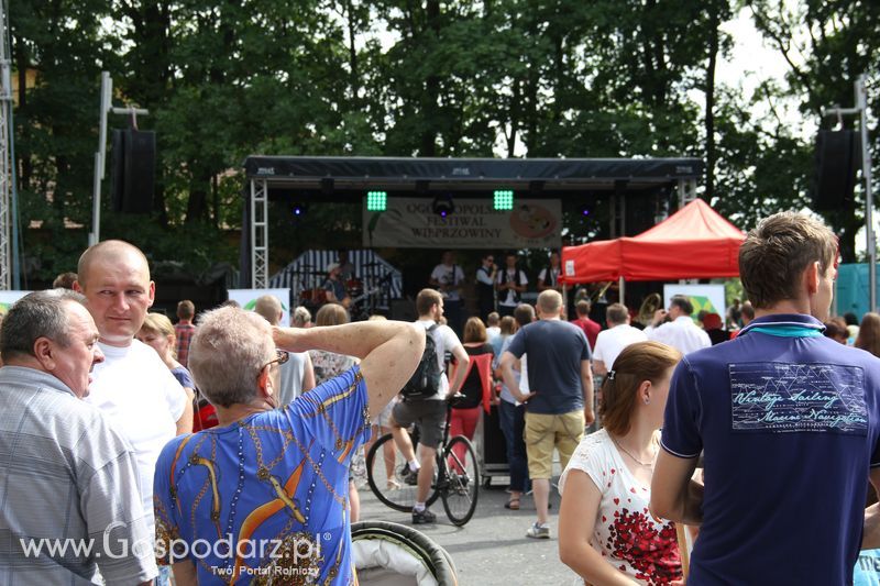 IV Ogólnopolski Festiwal Wieprzowiny - Koźmin Wlkp 2016