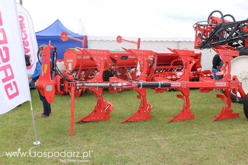 Maschio Gaspardo na AGRO-TECH Minikowo 2017