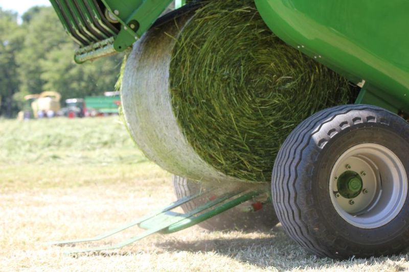 Sipma na Zielonym AGRO SHOW – POLSKIE ZBOŻA 2014 w Sielinku