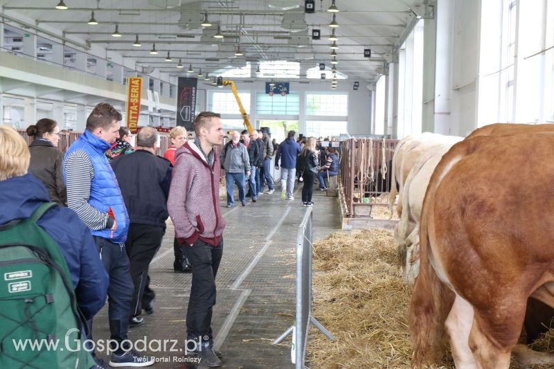 Krajowa Wystawa Zwierząt Hodowlanych w Poznaniu 2017 (piątek, 5 maja)