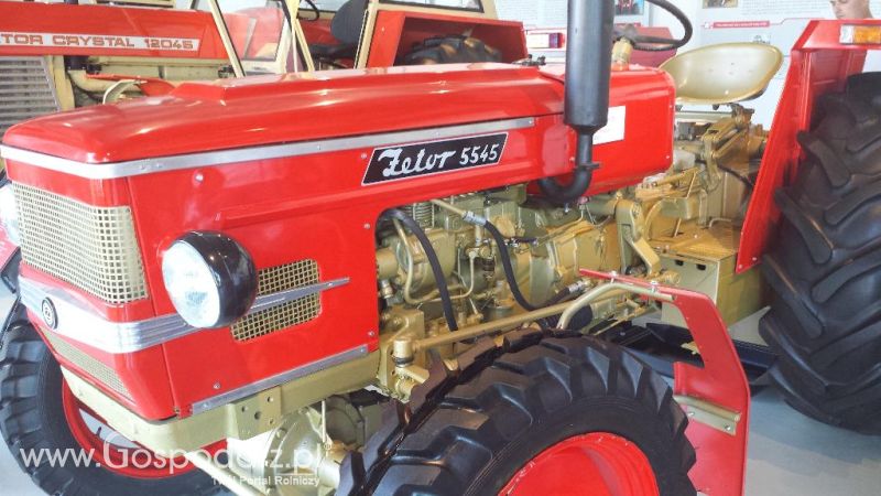 Precyzyjni Gospodarze w Czechach