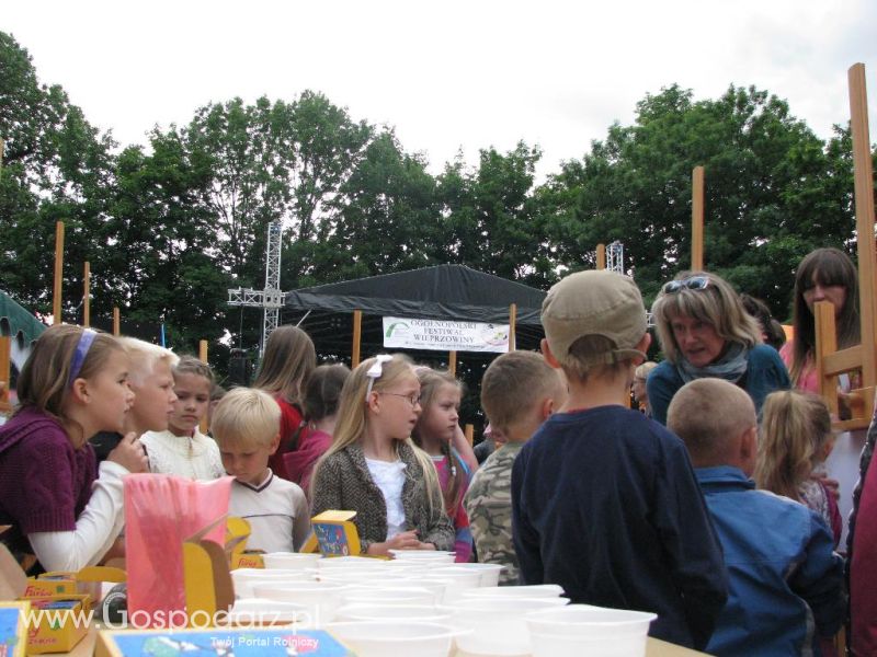 Festiwal Wieprzowiny w Koźminie Wielkopolskim 2013