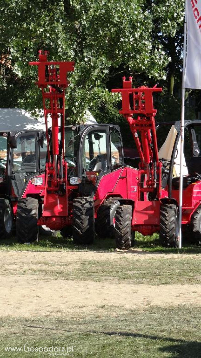 XVII Pałuckie Targi Rolne i XI Pałucka Wystawa Zwierząt Hodowlanych w Żninie