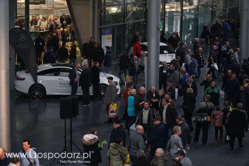 XXXVI Olimpiada Gołębi i Targi Gołębi Pocztowych i Akcesoriów - dzień drugi!