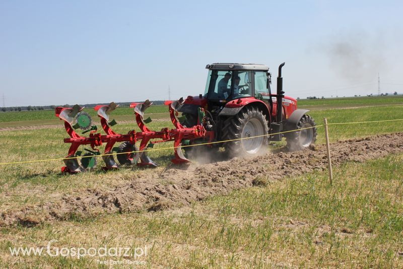 Polskie Zboża 2011 - Piątek 