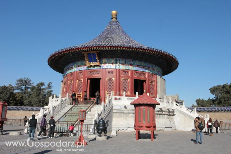 Gospodarz.pl w Chinach