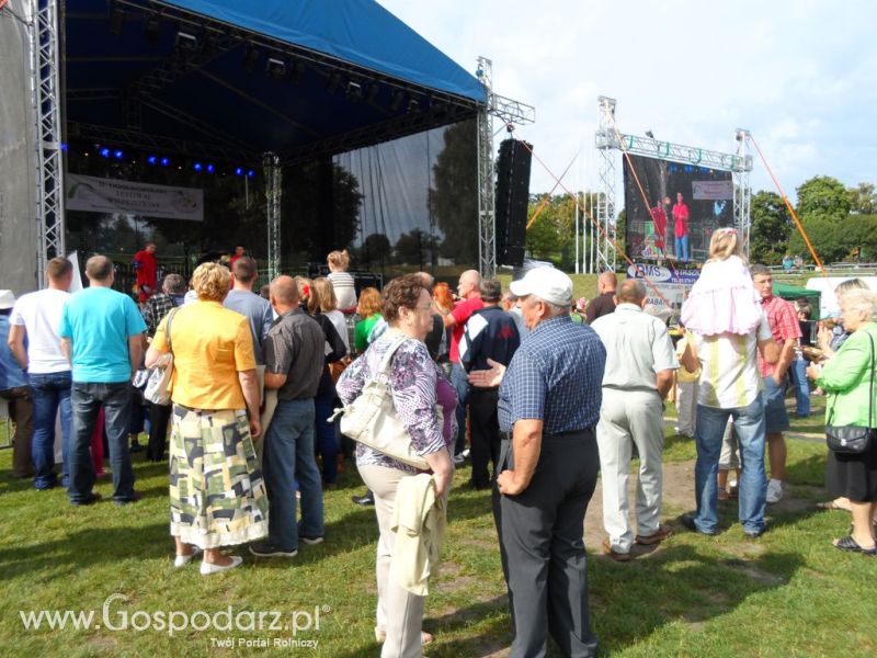 II Festiwal Wieprzowiny w Kwidzyniu