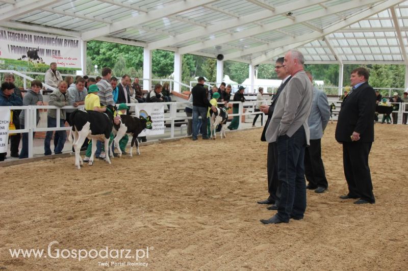 Mali Hodowcy VII Ogólnopolska Wystawa Bydła Hodowlanego w Sielinku 2012