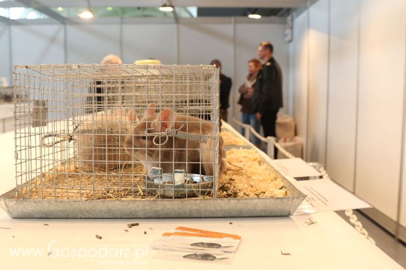 Krajowa Wystawa Zwierząt Hodowlanych w Poznaniu 2017 (sobota, 6 maja)