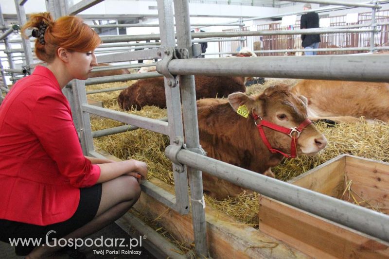 XXVI Krajowa Wystawa Zwierząt Hodowlanych - sobota i niedziela