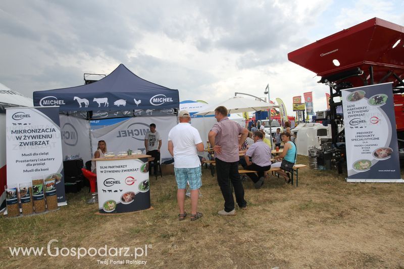 OPOLAGRA 2015 w Kamieniu Śląskim