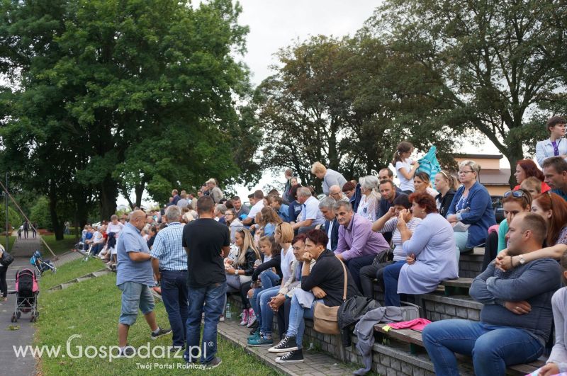 V Ogólnopolski Festiwal Wieprzowiny w Koźminie Wielkopolskim