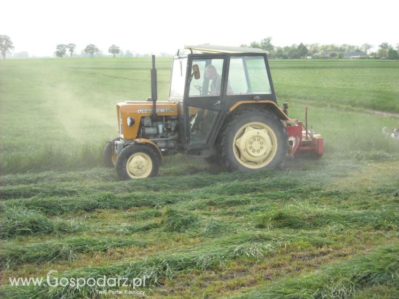 pierwsze sianokosy w roli głownej ursus c330M...