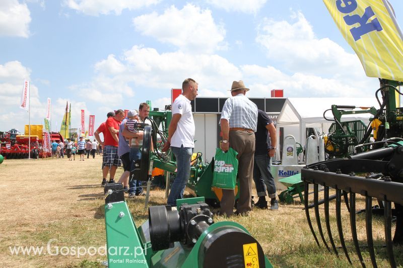 Kellfri na OPOLAGRZE 2015