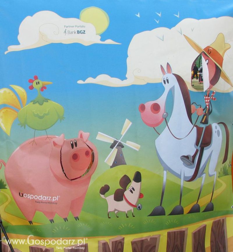 Zdjęcia ze świnką na Agro Show 2012 niedziela