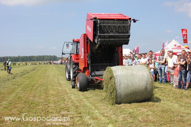 Zielone Agro Show pokaz maszyn rolniczych