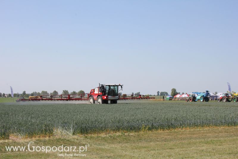 Polskie Zboża 2011 - Piątek 