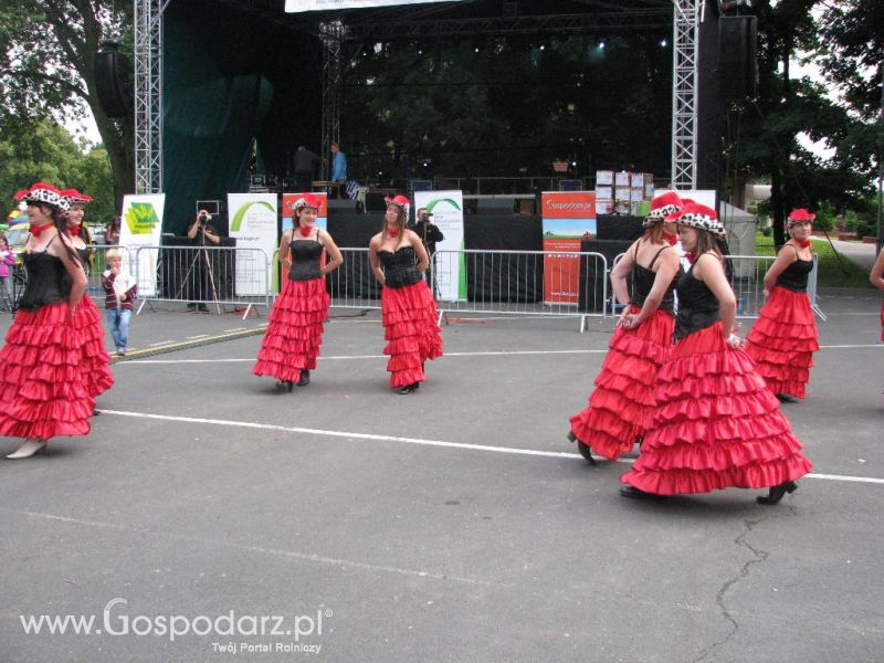 Festiwal Wieprzowiny w Koźminie Wielkopolskim 2013