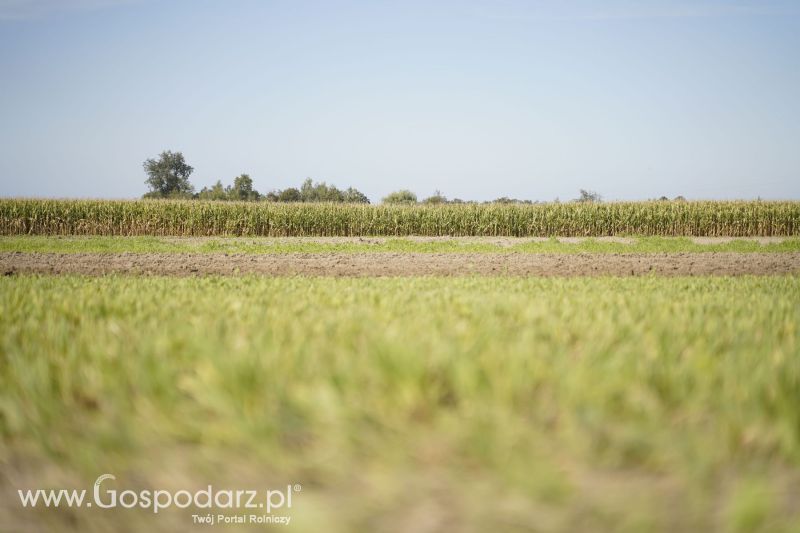 VII Wojewódzki Konkurs Orki z firmą INTER-VAX