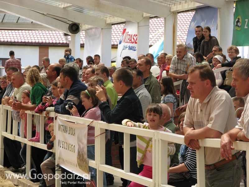 Wystawa Koni Sielinko 2011