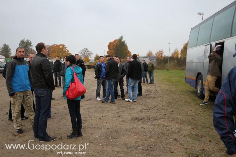 Wystawa  Blickpunkt Rind 2013 w miejscowości Paaren/Glien (Niemcy)