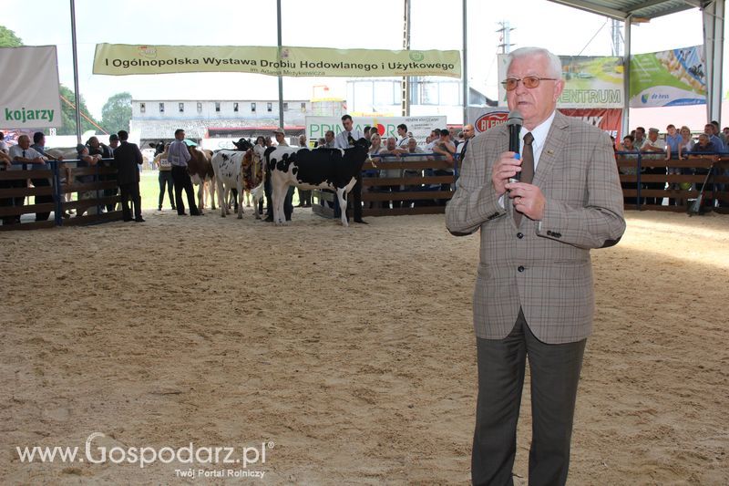 Bydło - Szepietowo 2012 XIX Regionalna Wystawa Zwierząt Hodowlanych