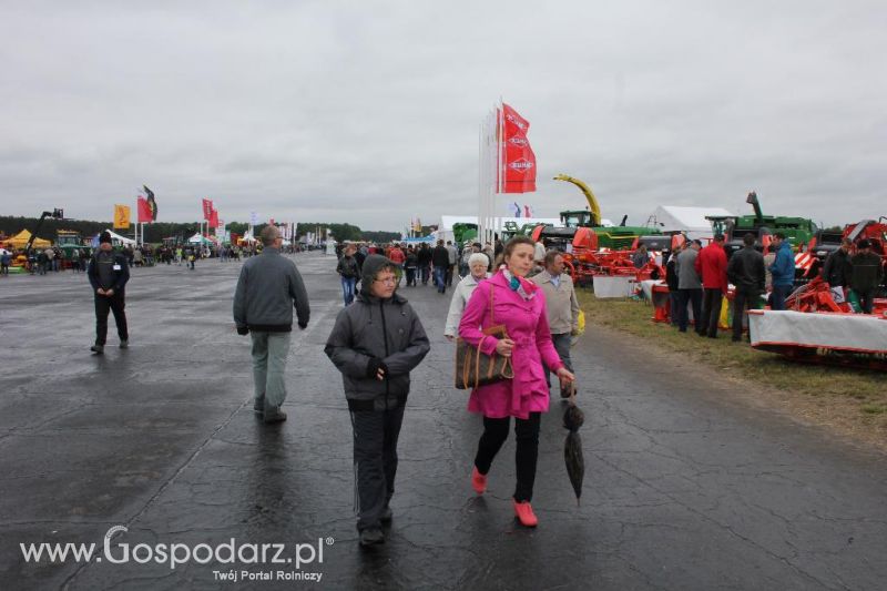 Polskie Zboża i Zielone Agro Show 2013
