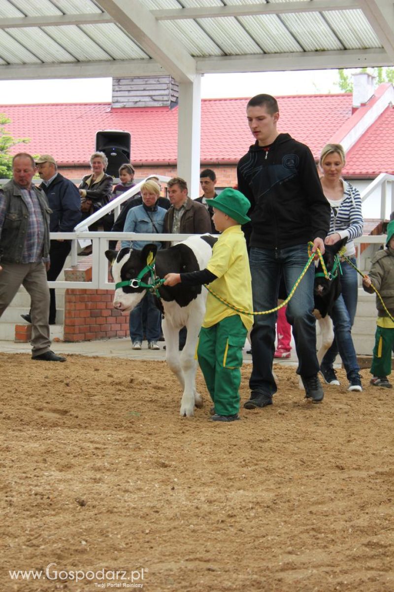 Mali Hodowcy VII Ogólnopolska Wystawa Bydła Hodowlanego w Sielinku 2012