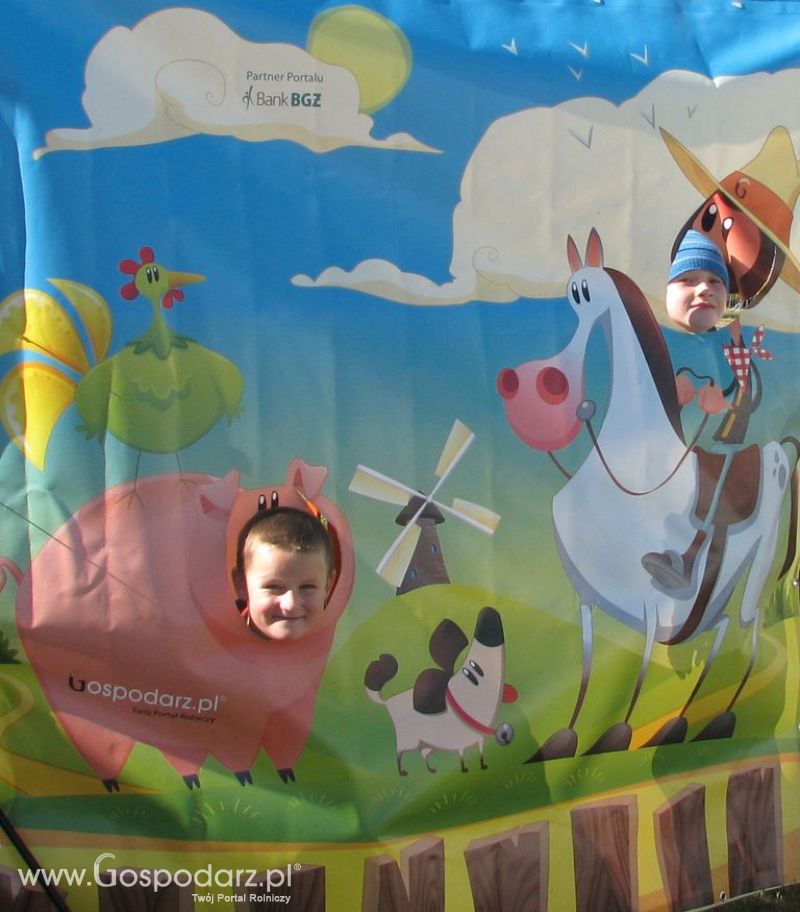 Zdjęcia ze świnką na Agro Show 2012 niedziela
