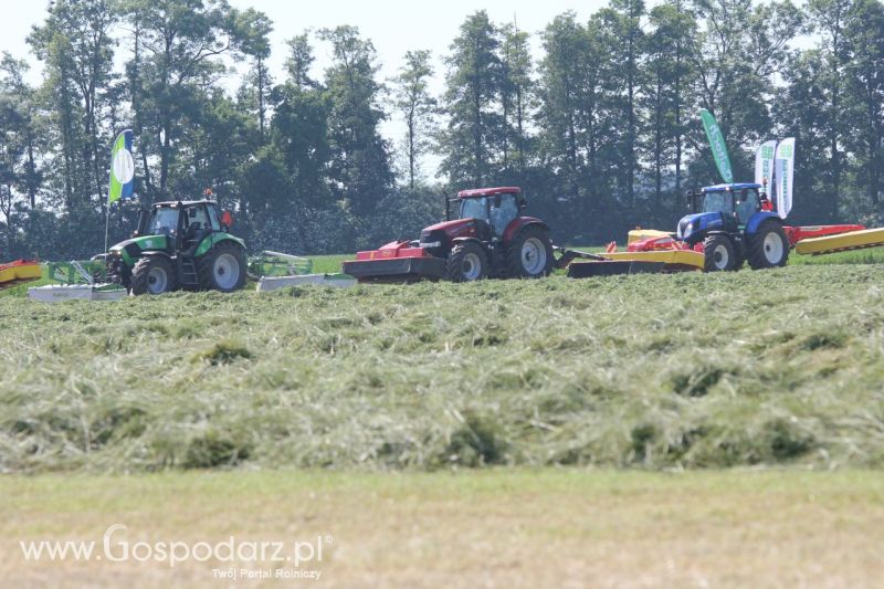 Zielone AGRO SHOW – POLSKIE ZBOŻA 2014 w Sielinku - niedziela