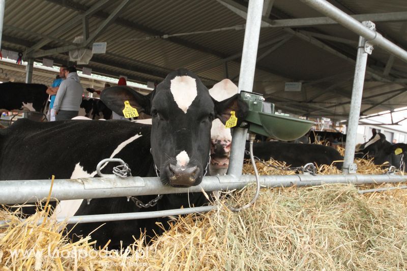 Agro-Tech Minikowo 2018